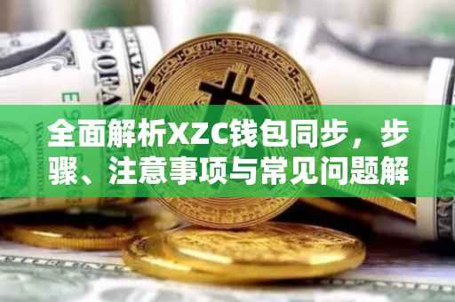 全面解析XZC钱包同步，步骤、注意事项与常见问题解决方案