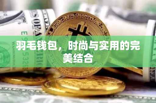 羽毛钱包，时尚与实用的完美结合