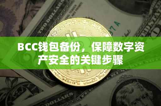 BCC钱包备份，保障数字资产安全的关键步骤