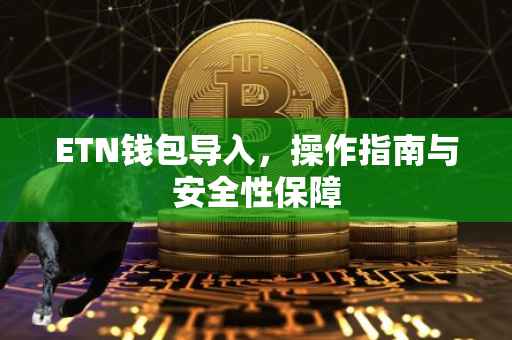 ETN钱包导入，操作指南与安全性保障