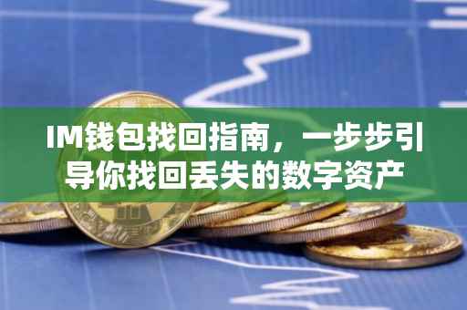 IM钱包找回指南，一步步引导你找回丢失的数字资产