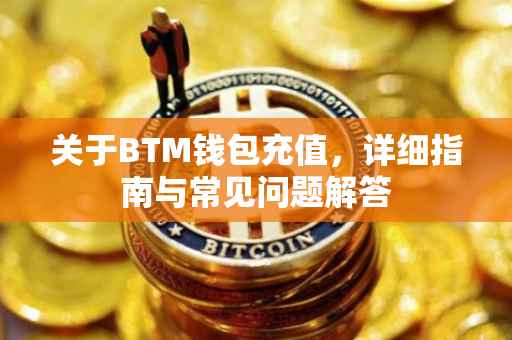 关于BTM钱包充值，详细指南与常见问题解答