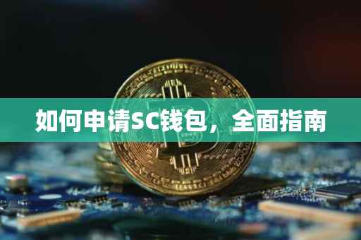 如何申请SC钱包，全面指南