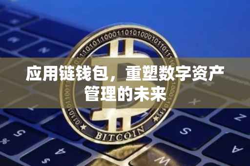 应用链钱包，重塑数字资产管理的未来