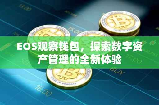EOS观察钱包，探索数字资产管理的全新体验