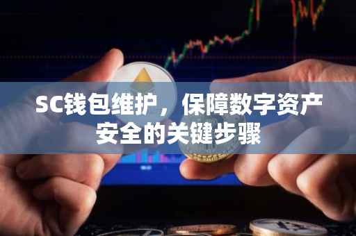 SC钱包维护，保障数字资产安全的关键步骤