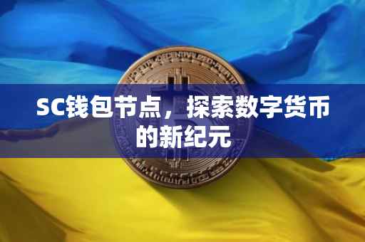 SC钱包节点，探索数字货币的新纪元