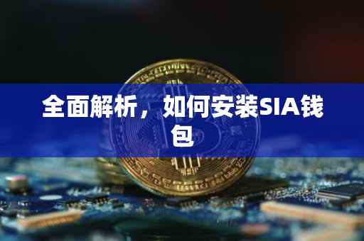 全面解析，如何安装SIA钱包