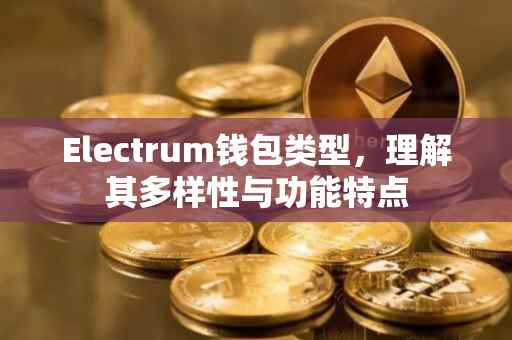 Electrum钱包类型，理解其多样性与功能特点