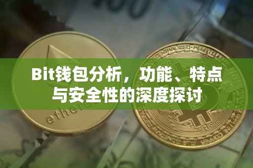 Bit钱包分析，功能、特点与安全性的深度探讨