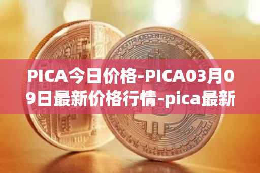 PICA今日价格-PICA03月09日最新价格行情-pica最新走势消息