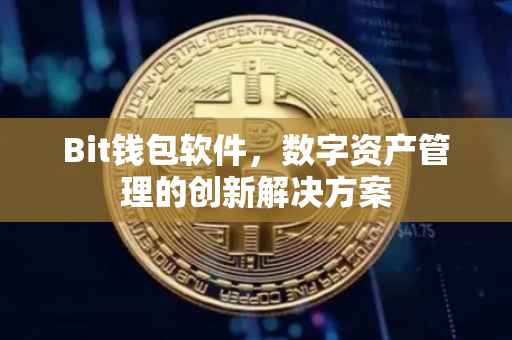 Bit钱包软件，数字资产管理的创新解决方案