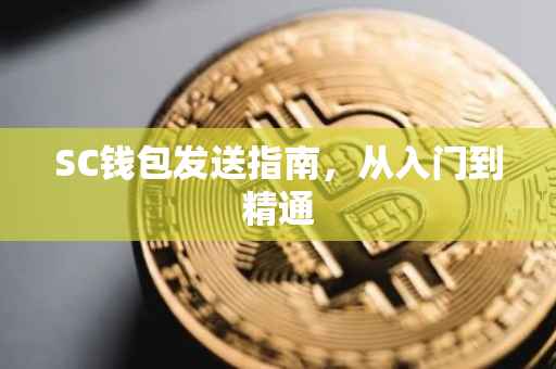 SC钱包发送指南，从入门到精通