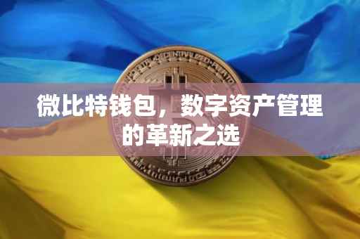 微比特钱包，数字资产管理的革新之选