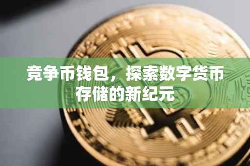 竞争币钱包，探索数字货币存储的新纪元