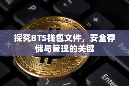 探究BTS钱包文件，安全存储与管理的关键