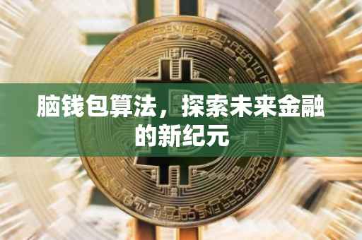 脑钱包算法，探索未来金融的新纪元