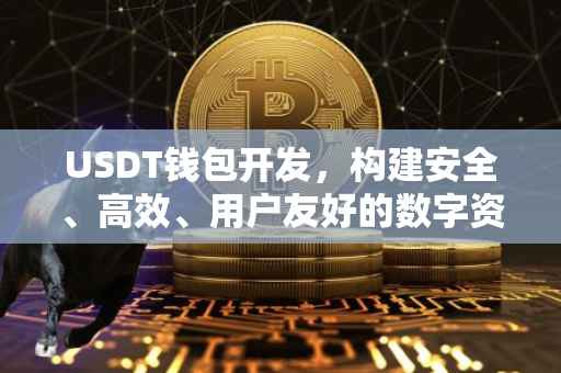 USDT钱包开发，构建安全、高效、用户友好的数字资产存储解决方案