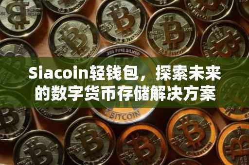Siacoin轻钱包，探索未来的数字货币存储解决方案