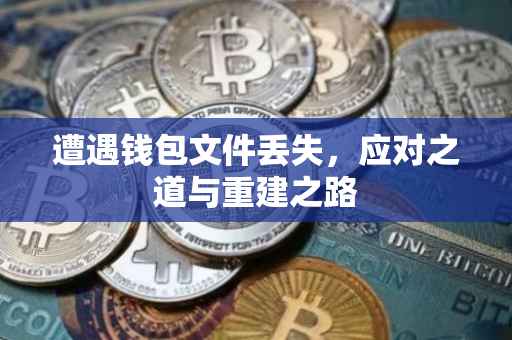 遭遇钱包文件丢失，应对之道与重建之路