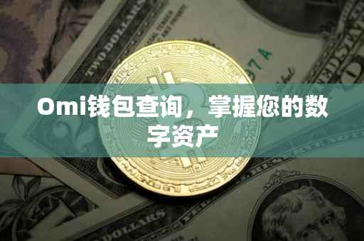 Omi钱包查询，掌握您的数字资产