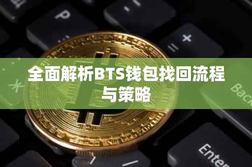 全面解析BTS钱包找回流程与策略