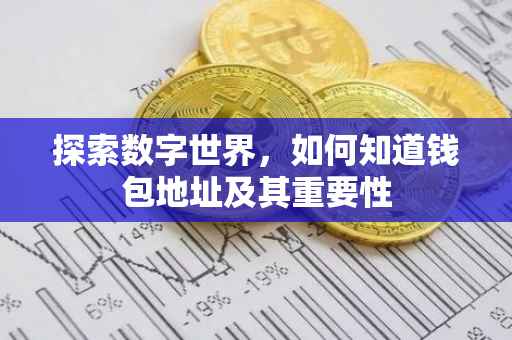 探索数字世界，如何知道钱包地址及其重要性