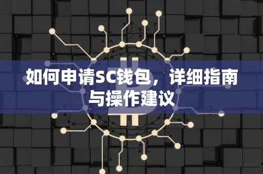 如何申请SC钱包，详细指南与操作建议
