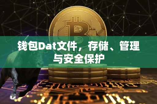 钱包Dat文件，存储、管理与安全保护