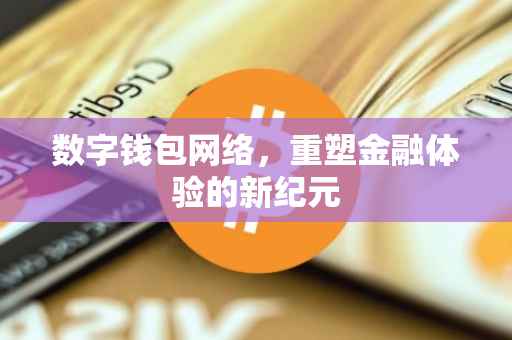 数字钱包网络，重塑金融体验的新纪元