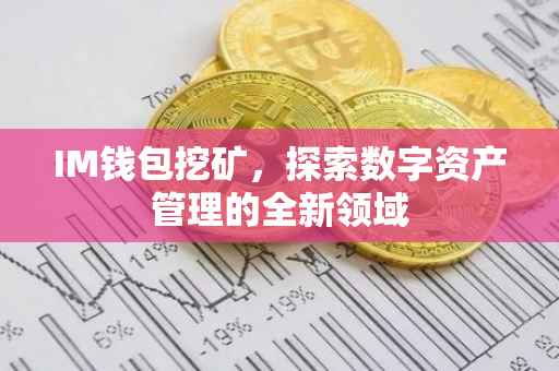 IM钱包挖矿，探索数字资产管理的全新领域