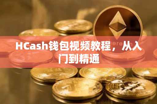 HCash钱包视频教程，从入门到精通