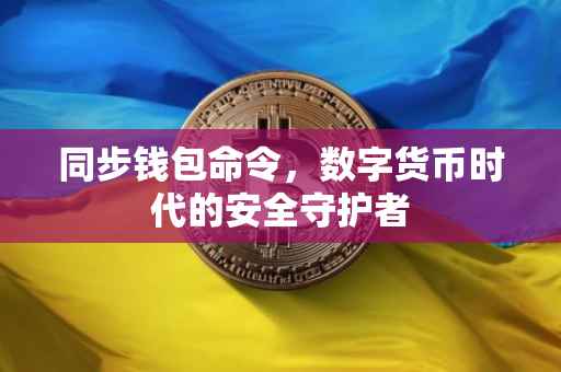 同步钱包命令，数字货币时代的安全守护者
