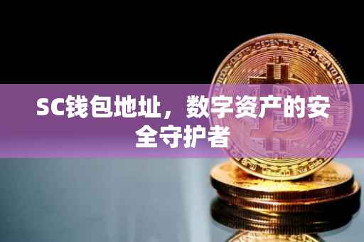 SC钱包地址，数字资产的安全守护者