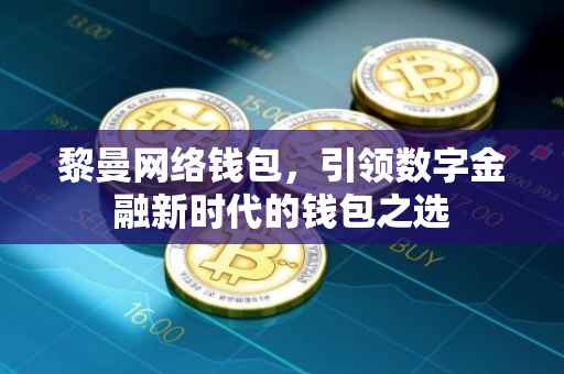 黎曼网络钱包，引领数字金融新时代的钱包之选