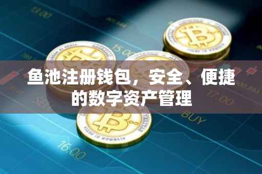 鱼池注册钱包，安全、便捷的数字资产管理