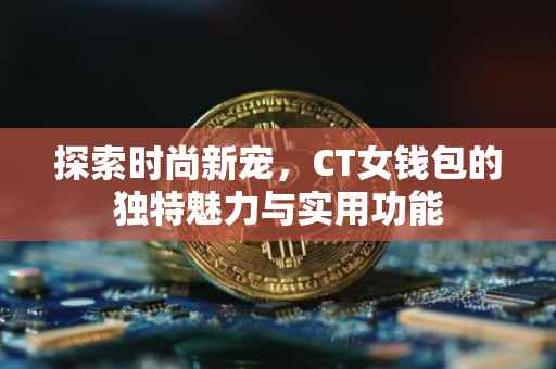 探索时尚新宠，CT女钱包的独特魅力与实用功能