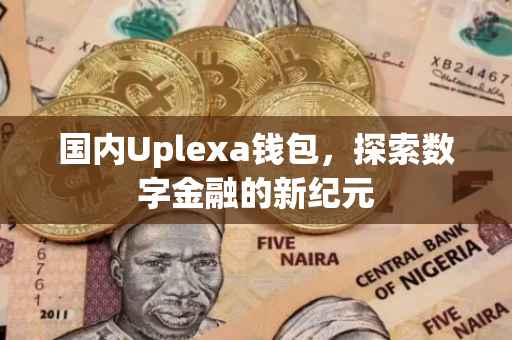 国内Uplexa钱包，探索数字金融的新纪元