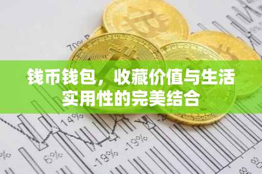 钱币钱包，收藏价值与生活实用性的完美结合