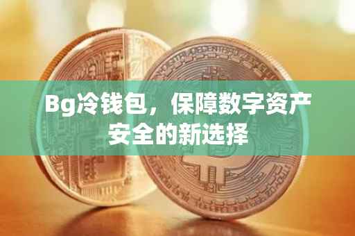 Bg冷钱包，保障数字资产安全的新选择
