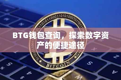 BTG钱包查询，探索数字资产的便捷途径
