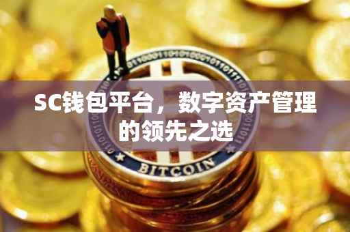 SC钱包平台，数字资产管理的领先之选