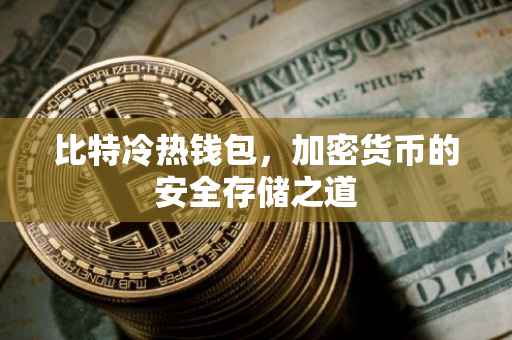 比特冷热钱包，加密货币的安全存储之道