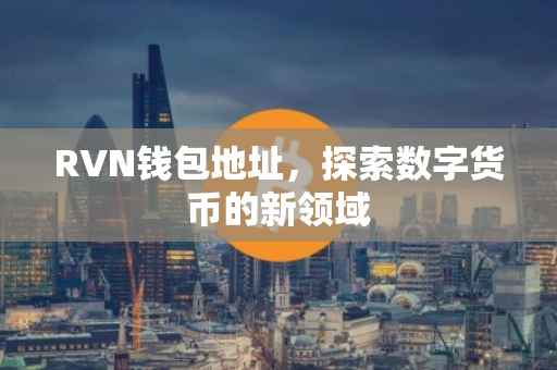 RVN钱包地址，探索数字货币的新领域