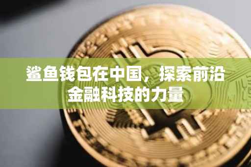鲨鱼钱包在中国，探索前沿金融科技的力量