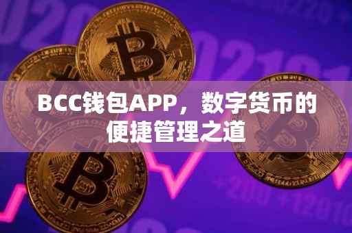 BCC钱包APP，数字货币的便捷管理之道