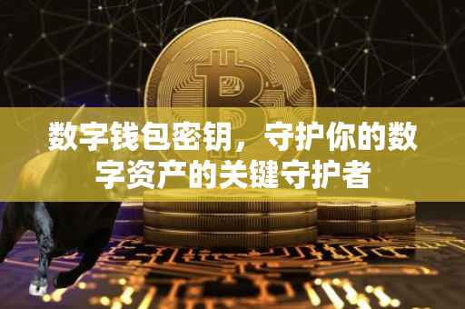 数字钱包密钥，守护你的数字资产的关键守护者