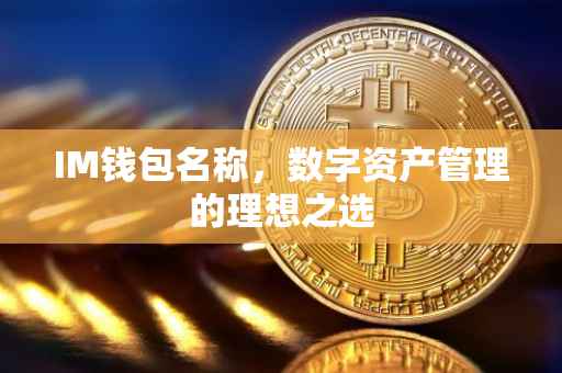 IM钱包名称，数字资产管理的理想之选