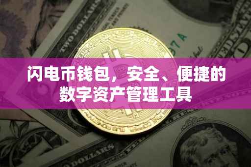 闪电币钱包，安全、便捷的数字资产管理工具