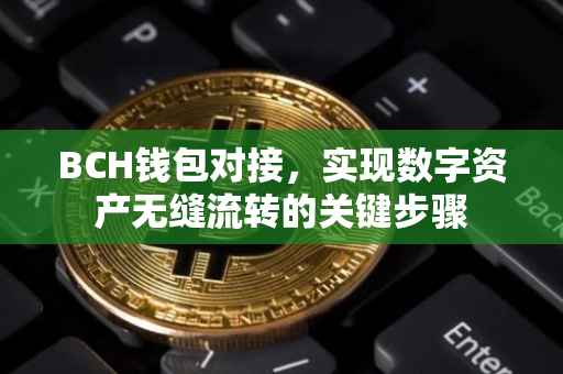 BCH钱包对接，实现数字资产无缝流转的关键步骤